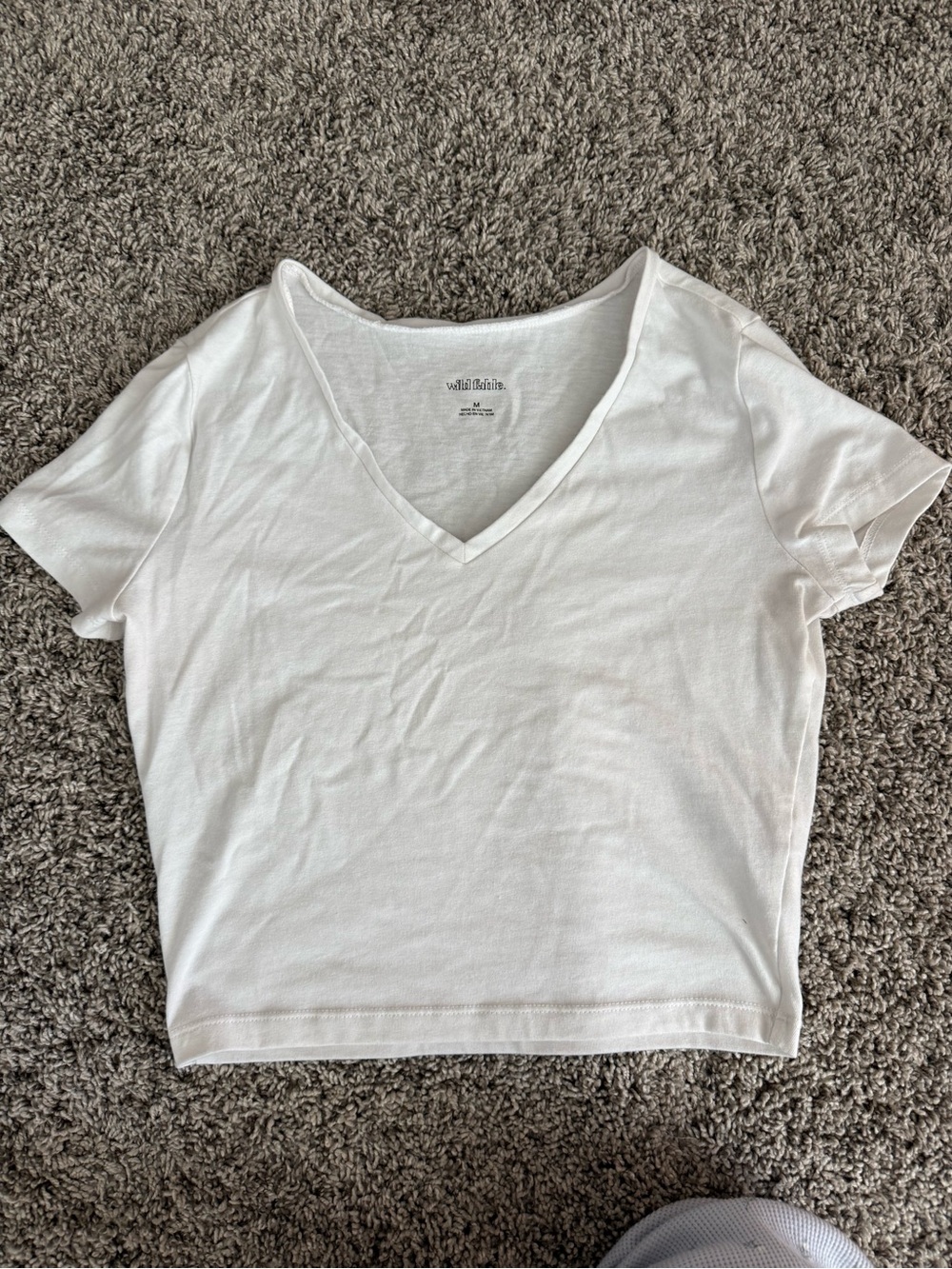 Wild Fable White V-Neck Cropped Tee